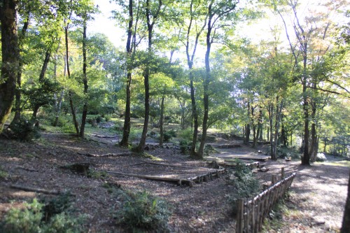 県 山 キャンプ 三国 石川 場 公園 森林