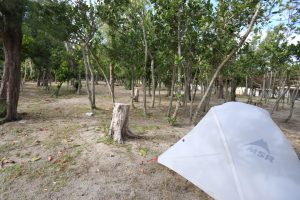 《沖縄のキャンプ情報》そもそもキャンプ場ってあるの?