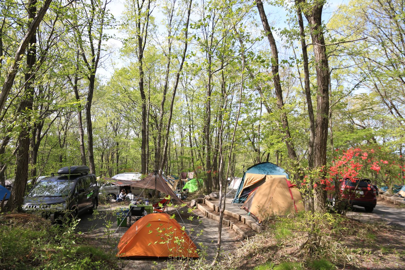 群馬県前橋市 ACN赤城山オートキャンプ場 | キャンプ初心者向け総合情報ブログ Hyper Camp Creators