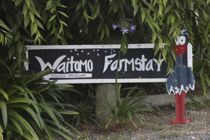 Waitomo Farmstay27