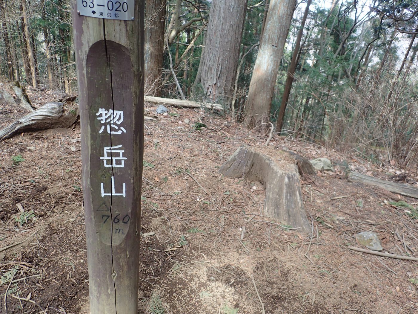 惣岳山山頂は林に囲まれてます。